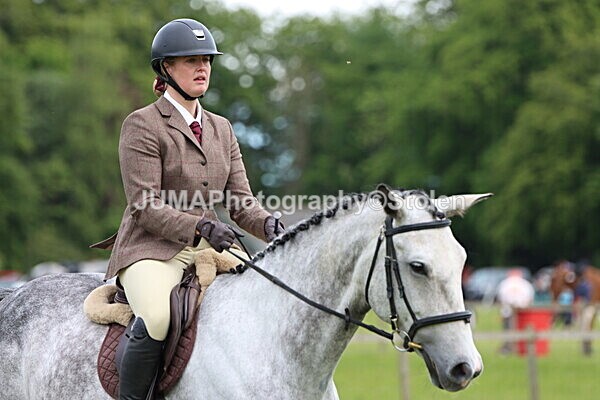 IMG_2828 - Working Hunter