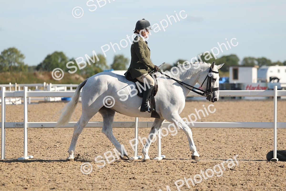 SBM_12163 - Class 303 - Ridden Pure Bred Horse Pony