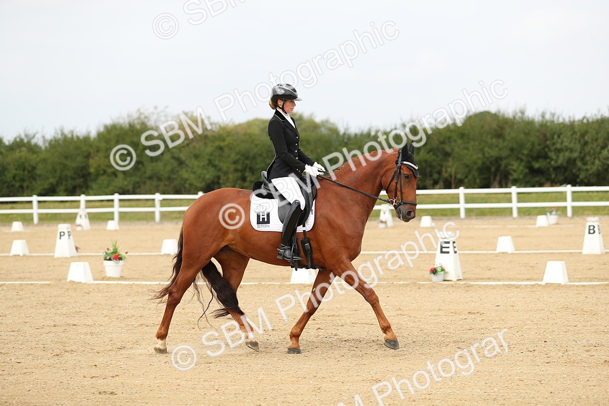 SBM_017600 - Class 13 - Novice 23 - 14.27-15.16