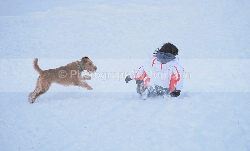  - Man's Best Friend