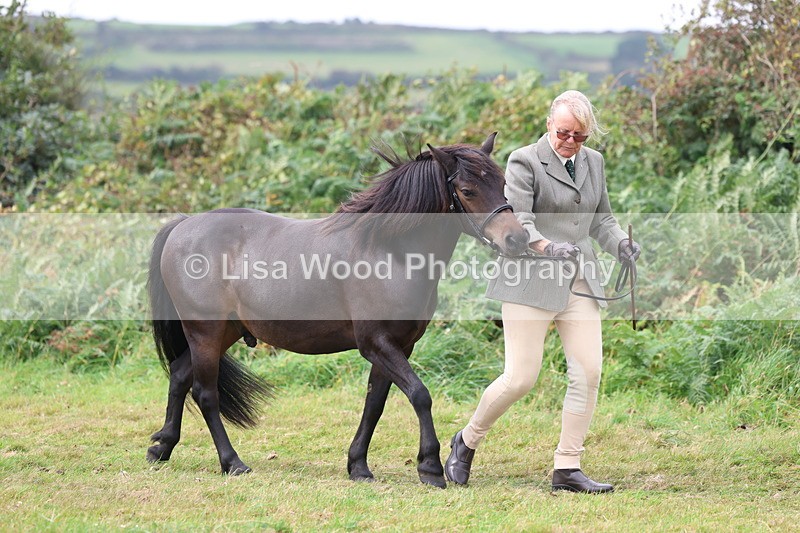 3E7A4512 - Class 16: Best Grass Kept