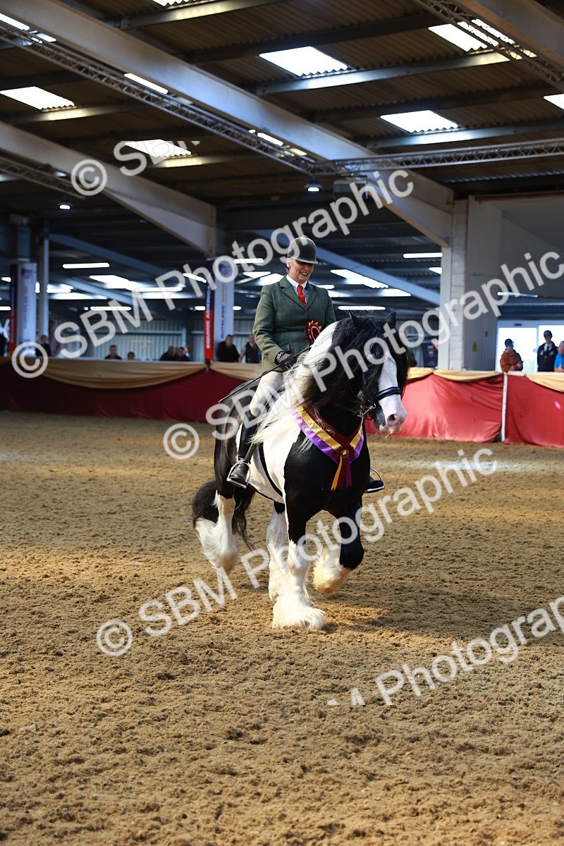 SBM_12816 - HOYS Veteran Qualifier - Ridden Champ