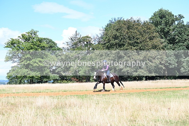 DSC_0113 - Time at Statue 15:58 to 16:05