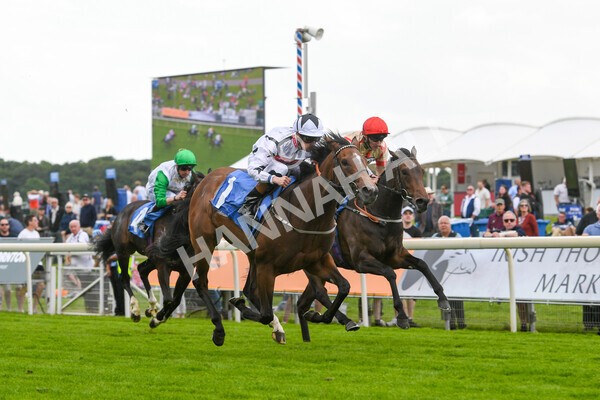 yr10062022r6-17 - Race 6 4.40pm No 1 York by GuestHouse Hotels British EBF Novice Fillies Stakes