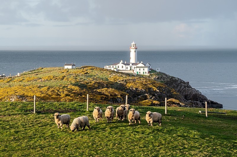 MF2_8598 - Fanad Lighthouse
