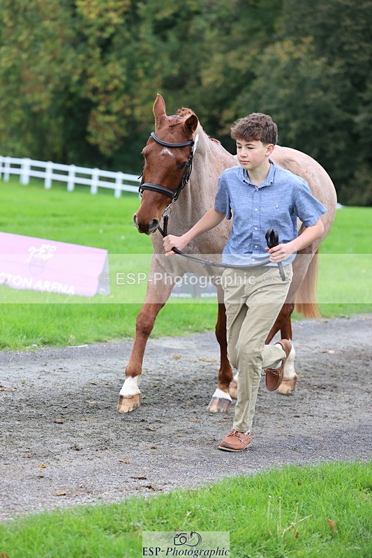 251026A-112925-25473 - F-403-Hugo.Moor