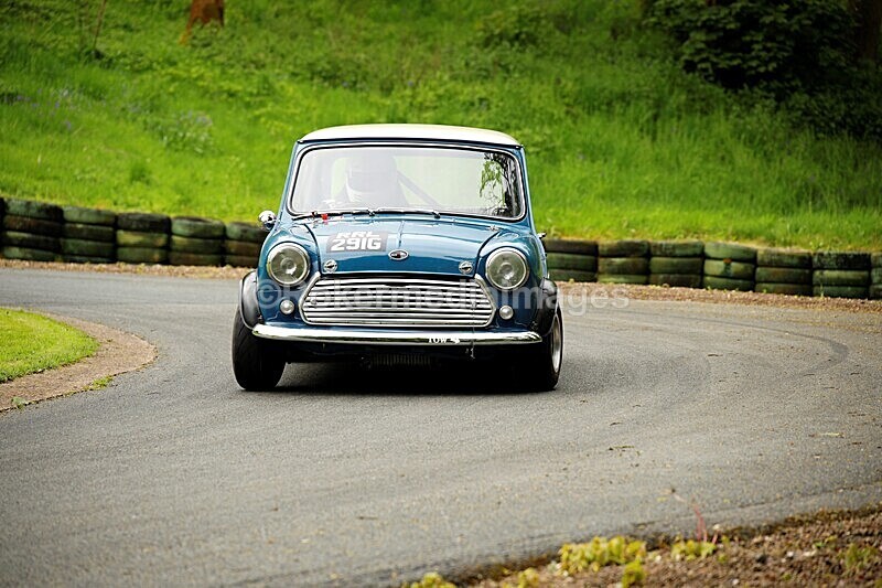 _56A1820 - MINI FESTIVAL 22ND May 2021