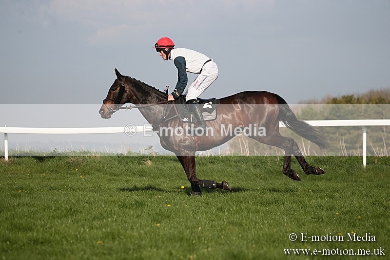 PtP 210418 569 - South & West Wilts Point-to-Point Larkhill 21/04/18