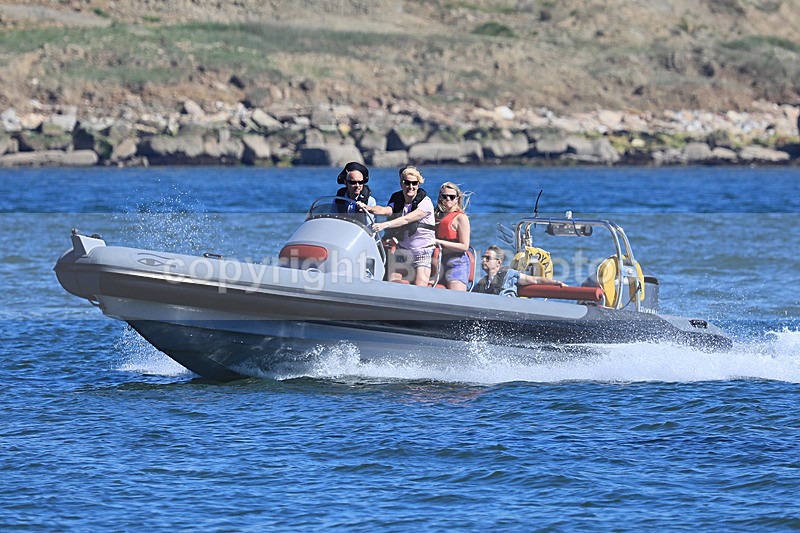 180527 ROYAL - RIBEYE 1Y3A2626 - RIBs, Tenders, Dories, Dinghies