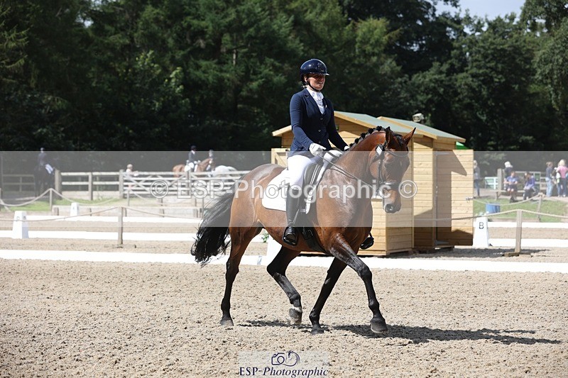 230812-113716-03814 - Cls 5 Novice Bronze 11.15 to 12.50 break