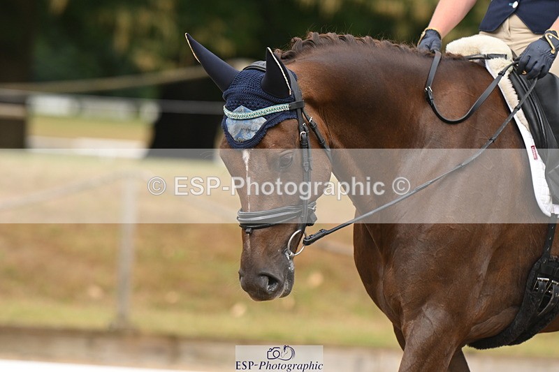 250719A-094203-03020 - 144-Verity.Perry-Vogue