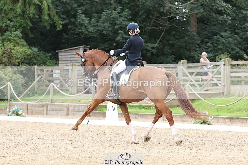 240810-133139-03332 - 188-Amanda.Towle.Shaw-Rockwood.Virtue