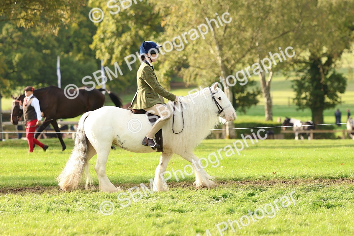 SBM_56521 - S40 - Starters Ridden Showing