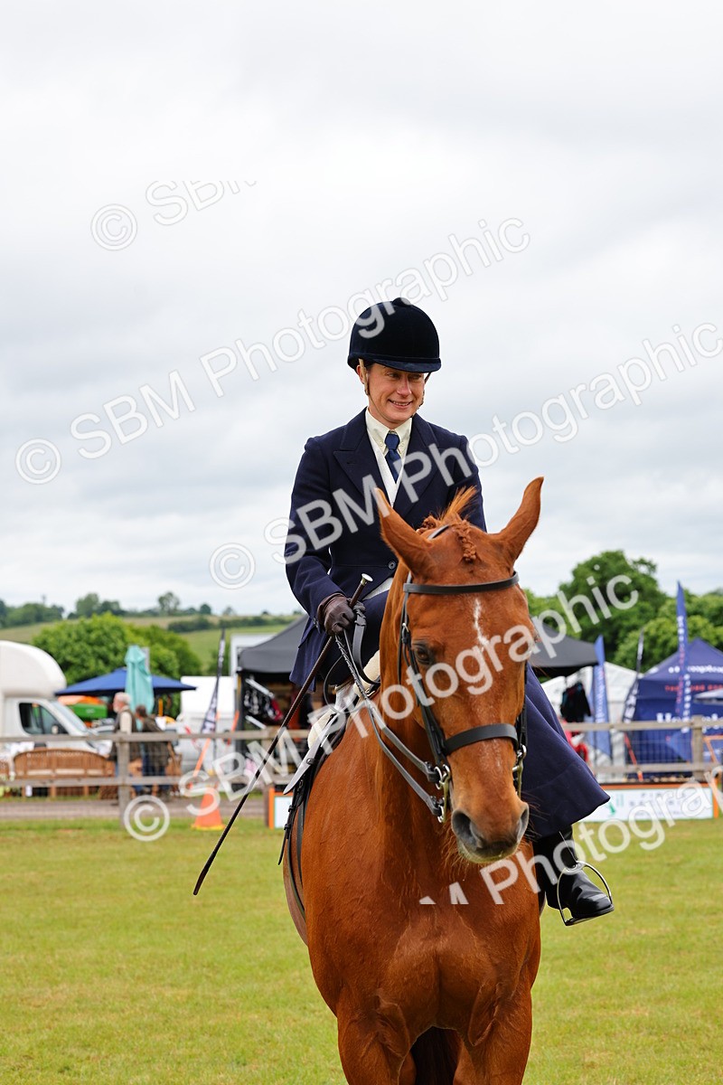 SBM_02775 - Class 9-11 Side Saddle including LIHS Rising Star Ladies Show Horse