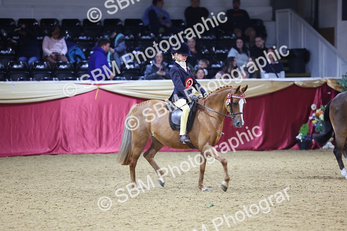 SBM_18984 - Class G Ridden Pony Champ