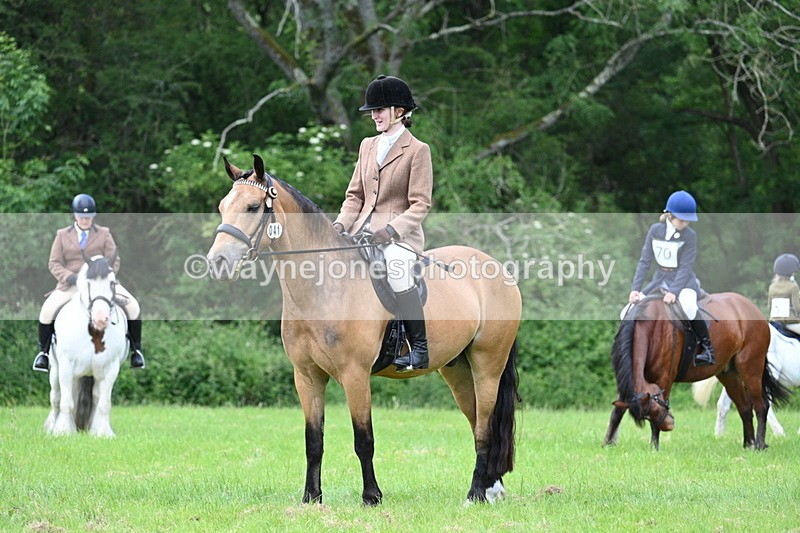 WJ7_1408 - Class 11 Condition & Turnout
