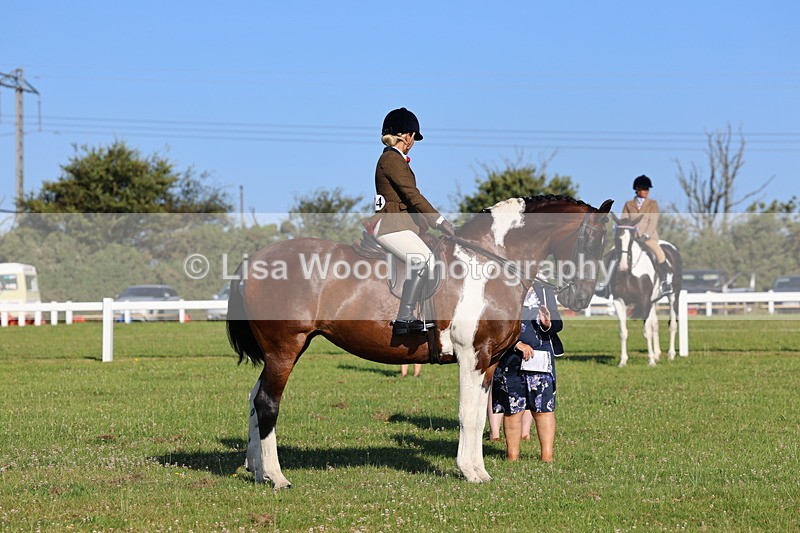 IMG_1274 - Class 27: Ridden Plaited Coloured Horse