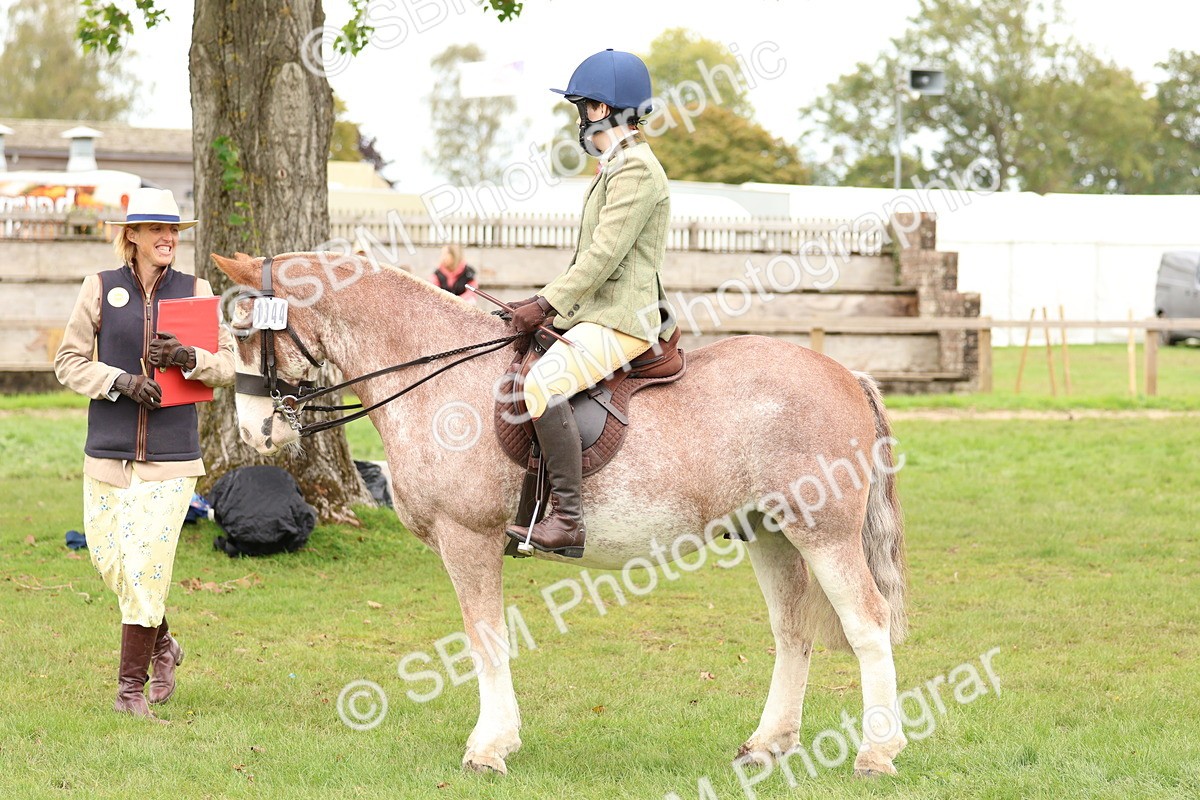 SBM_64624 - S58 - Coloured Pony Ridden