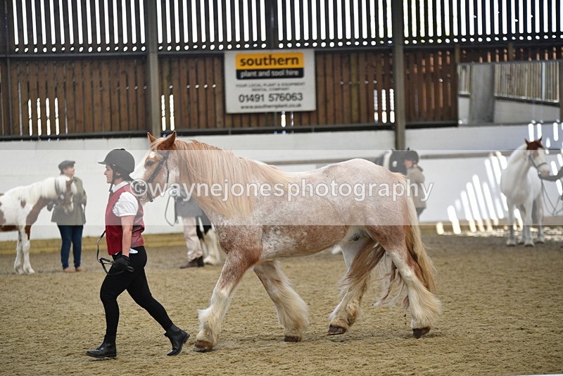 WJ5_4769 - Class 7 In hand coloured / odd coloured