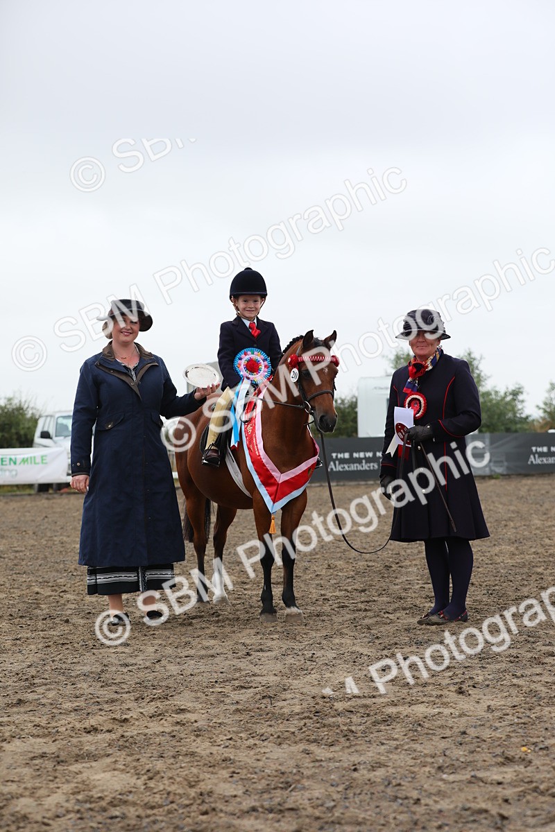 SBM_21864 - Class 806 - Young ridder 10 Yr & Under