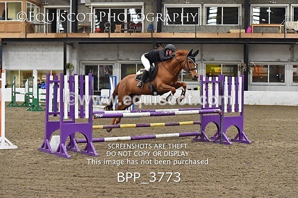 BPP_3773 - FRI CLASS 21 BR NOVICE/90CM