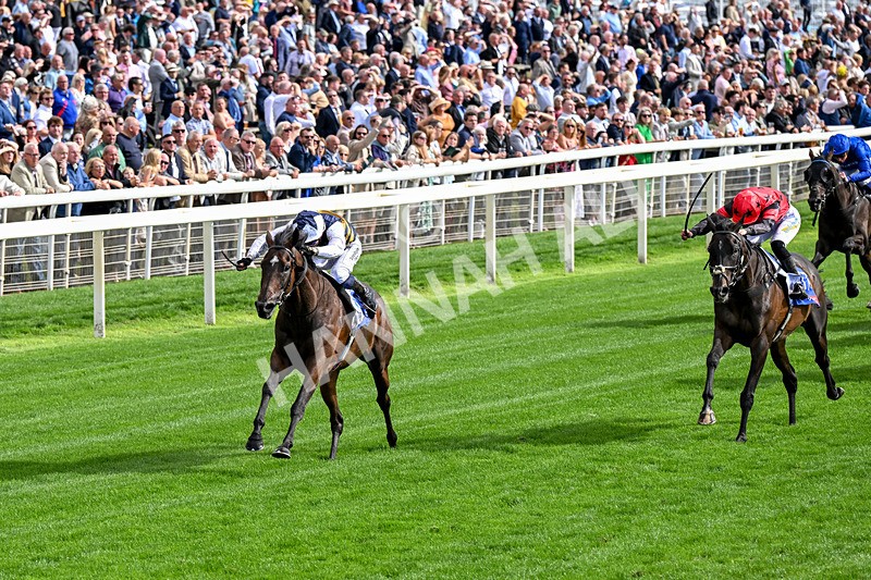 190826-Race 5-Small Fry-0643 - Race 5 16.10pm Sky Bet Stayers Handicap
