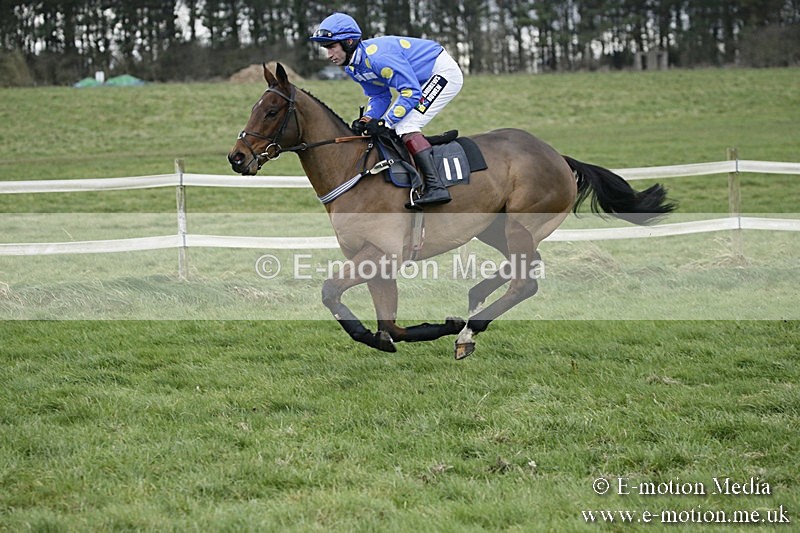 PtP 031217 344 - Hursley Hambledon Point-to-Point Larkhill 03/12/17