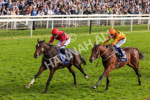 141023-Race 4-Colorada Dancer-0471 - Race 4 3.05pm Coral Racing Club EBF Maiden Stakes
