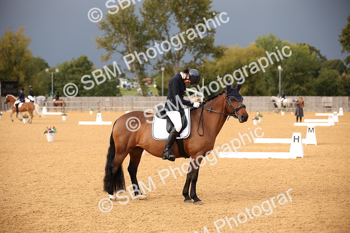 SBM_12269 - D3 Small  Tour Championship Intro A