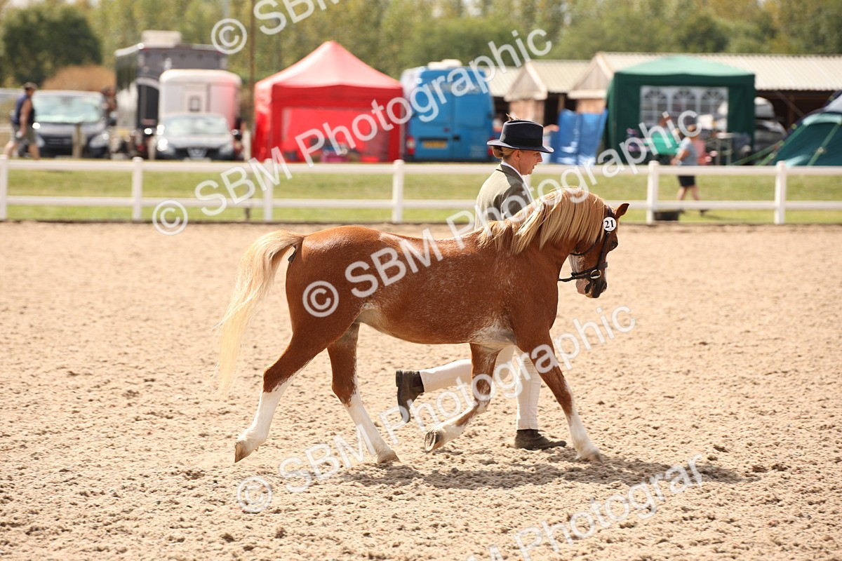 SBM_04615 - Class 20 IH Veteran