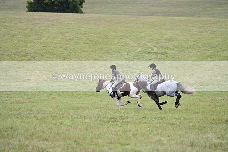 WJ7_4238 - Camera 1 Line 2