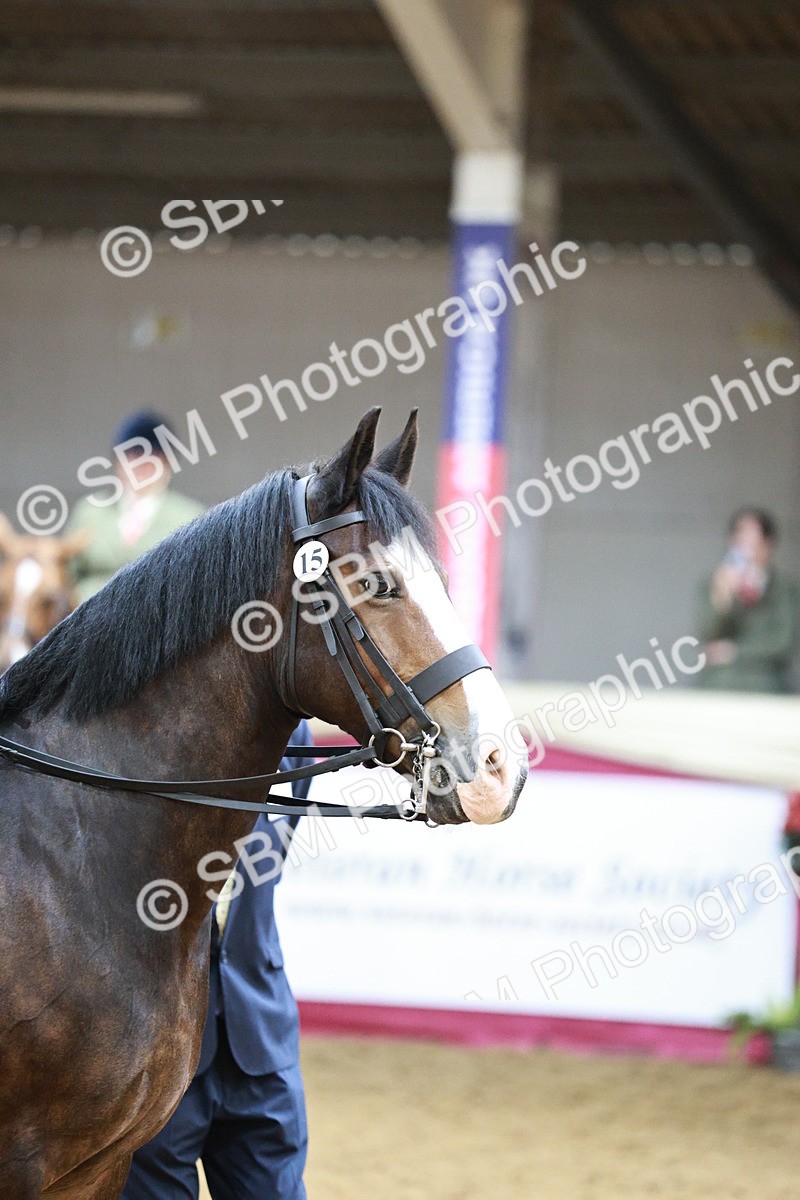 SBM_03592 - Class 6A Area Ridden Pre-Vet