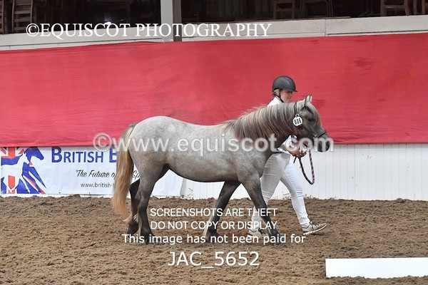 JAC_5652 - 6 Glenmuir Niamh