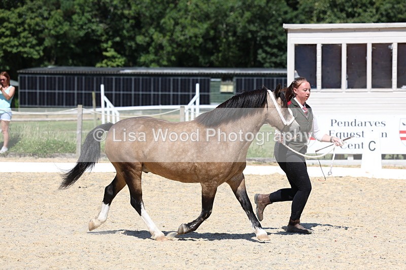 3E7A9561 - Class 32: Best Grass Kept