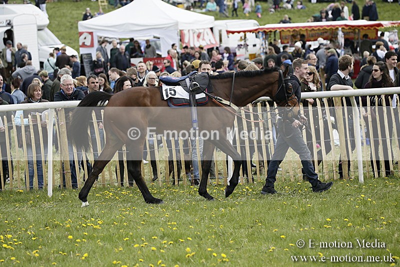 PtP 170417 205 - Old Berks Point-to-Point Lockinge 17/04/17