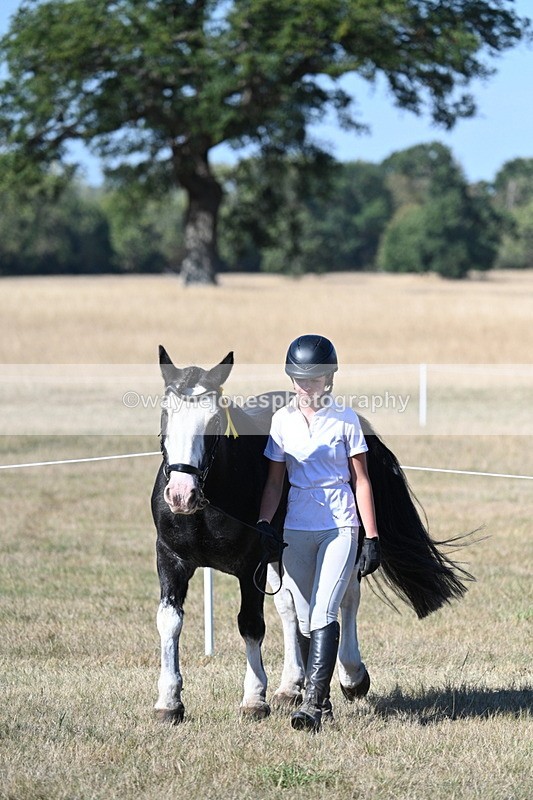 WJ7_1992 - Class 43 Best Six Legs (In hand)