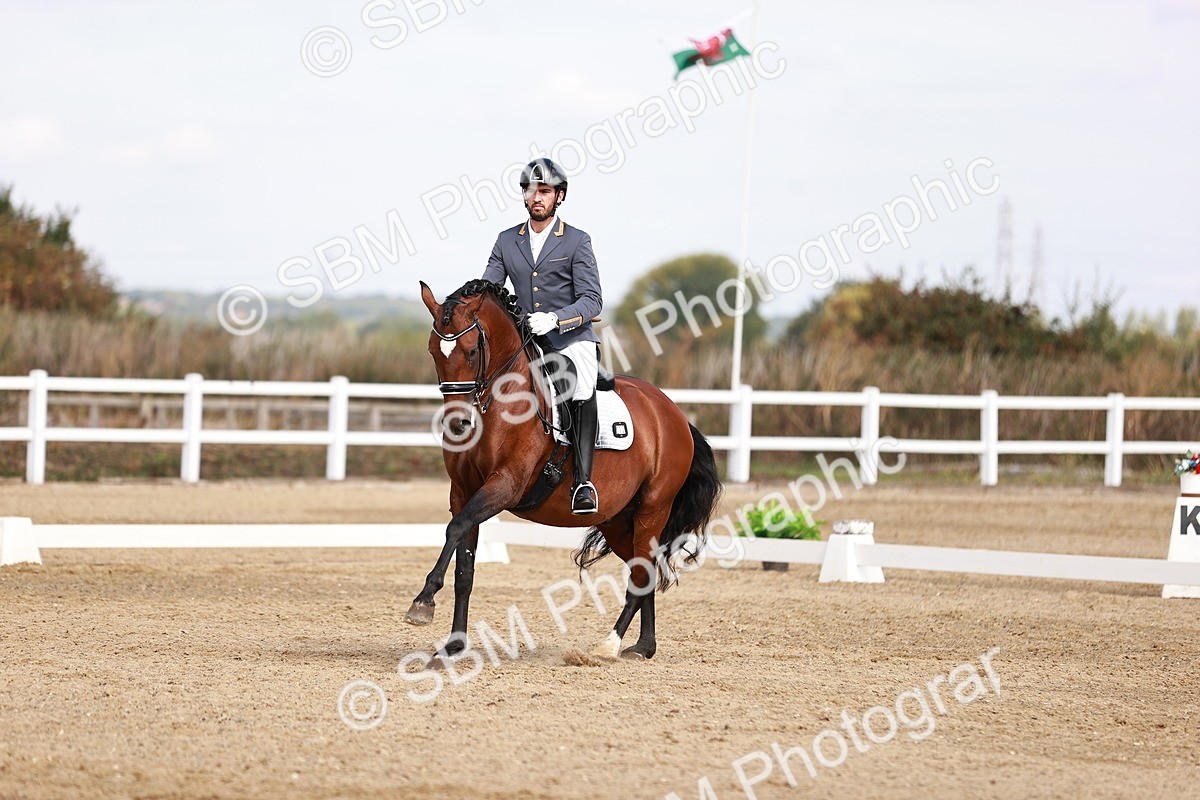 SBM_017601 - Class 11 - Advanced Medium 6