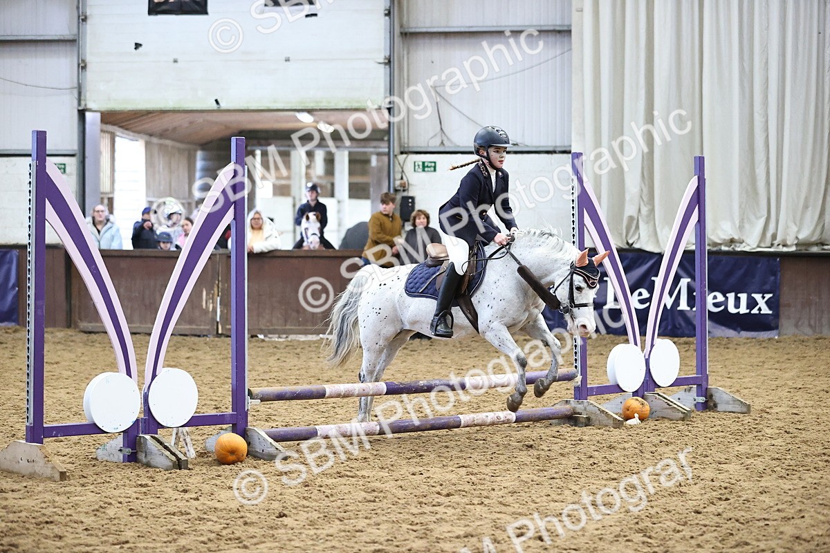 SBM_000228 - Class 2 - Show Jumping 50cm