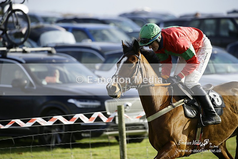 PtP 300122 313 - South Dorset Hunt - Point-to-Point Races 30/01/2022