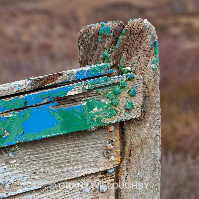 - Detail in the land