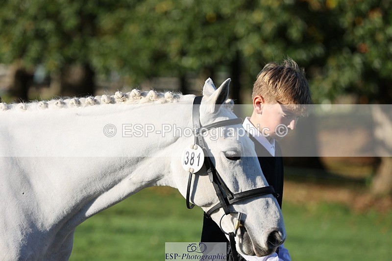 241027-084753-14826 - 381-William.Falango-JUST.BE.JACK