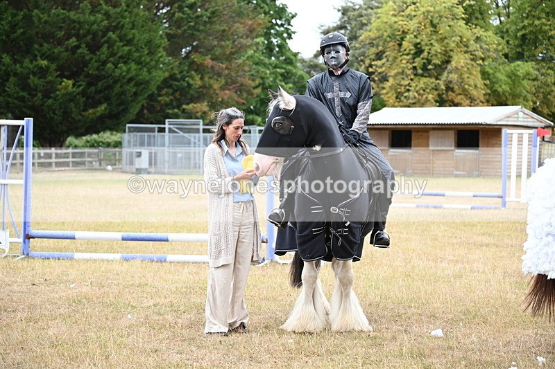 WJ6_9019 - Class 11 Fancy Dress