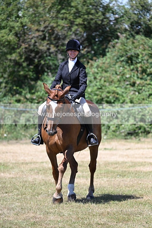 WJ7_2988 - Class 7 Riding Club Show Horse