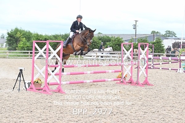 BPP_2977 - CLASS 7 Pony Discovery / 90cm Open
