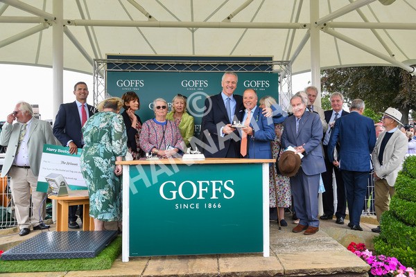 240823-Race 2-Dragon Leader-0257 - Race 2 2.25pm Goffs UK Harry Beeby Premier Yearling Stakes