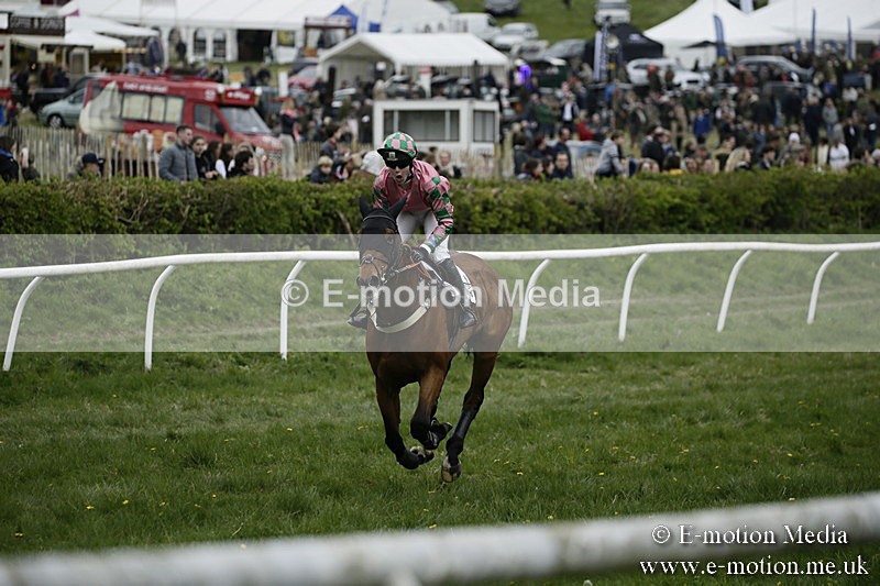 PtP 170417 560 - Old Berks Point-to-Point Lockinge 17/04/17
