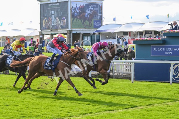 111024-Race 1-Empirestateofmind-1322 - Race 1 1.30pm William Hill Top Price Guarantee Autumn Handicap
