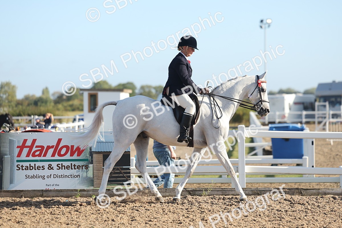 SBM_22106 - Class 801 - Ridden Veterans
