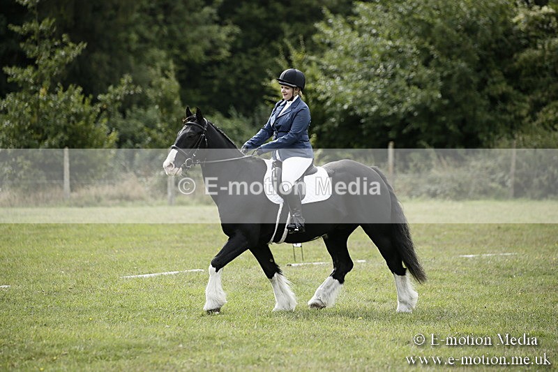 BVR080918 156 - BVRC Novice Dressage & CR 08/09/18