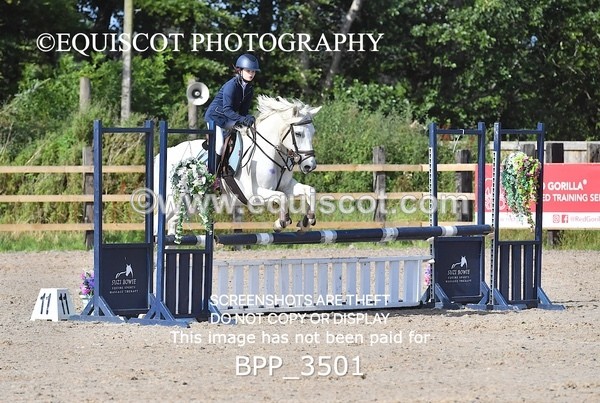 BPP_3501 - CLASS 2 Club/ Unaffiliated 80cms Open